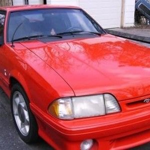 Meet your Posher, Butch